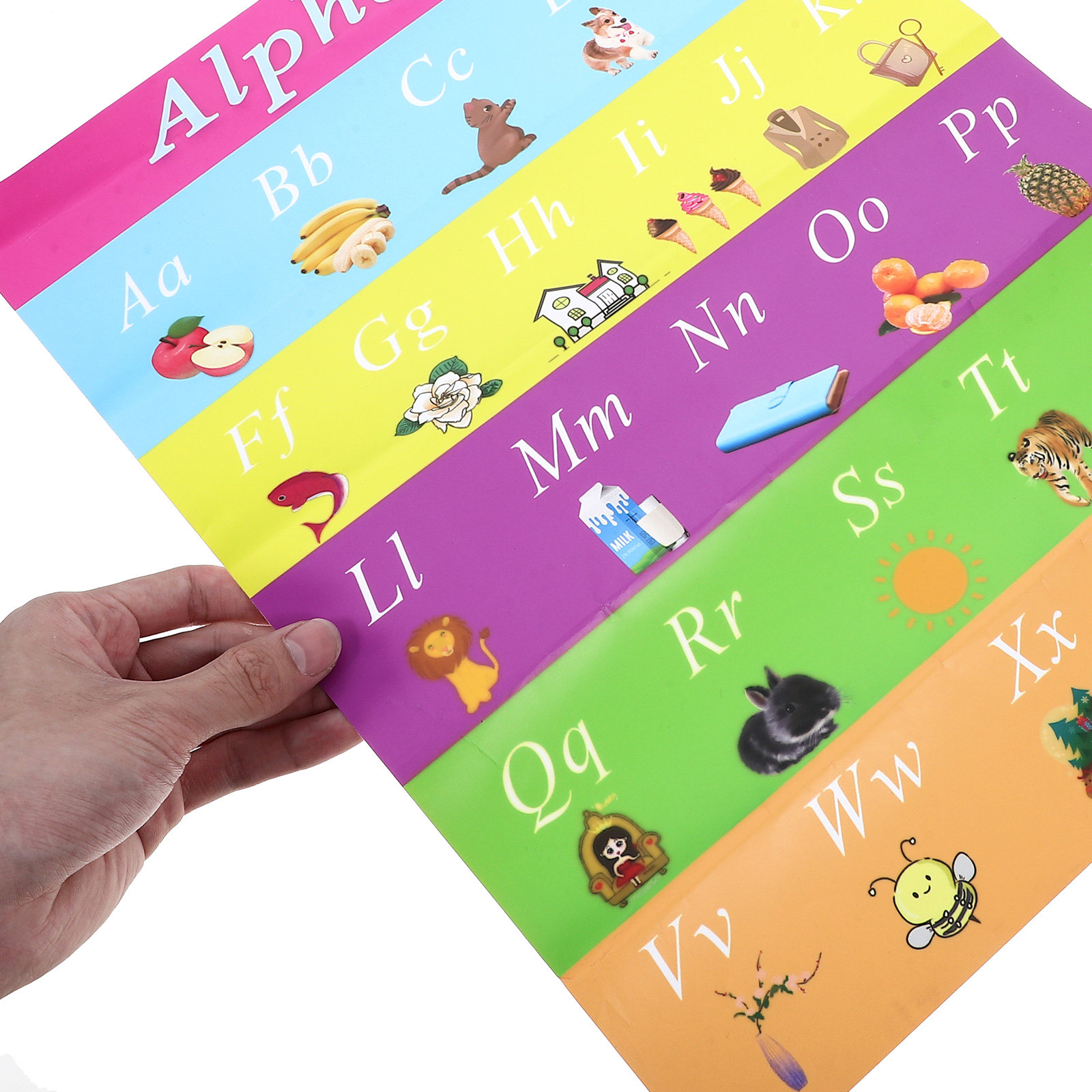 โปสเตอร์การศึกษาปฐมวัยสำหรับเด - Kids Educational Posters บทวิจารณ์และราคา