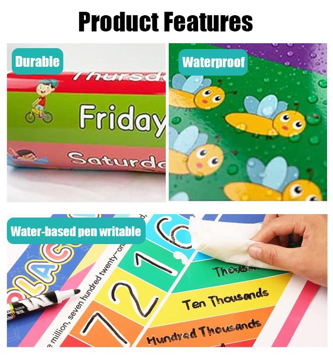 โปสเตอร์การศึกษา 16 ชิ้นสำหรับ - Kids Educational Posters บทวิจารณ์และราคา