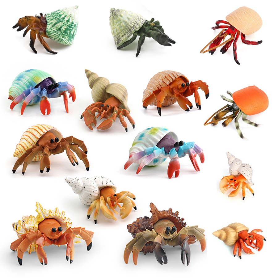 รูปปั้นปูเสฉวนสมจริง ทนทาน ทำจ - Kids Educational Gadget บทวิจารณ์และราคา