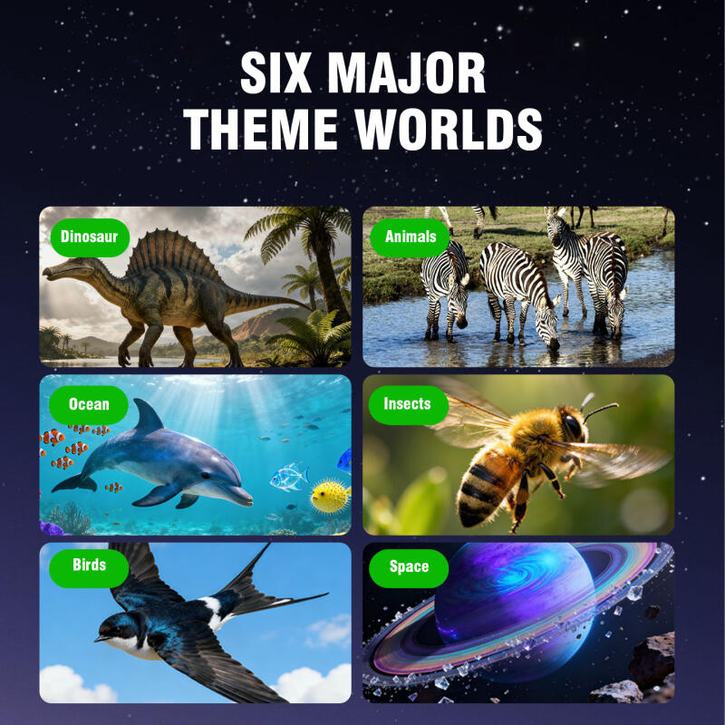 เครื่องฉายภาพสามมิติแบบสเตอริโ - Kids Education Film บทวิจารณ์และราคา